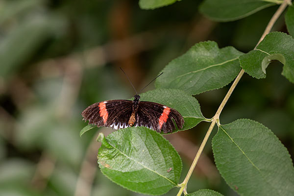 <div></div>
