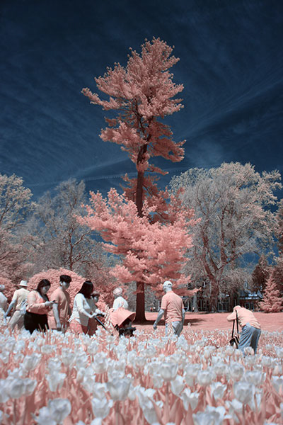 %_tempFileNameLongwood22Apr2022_5908IR%