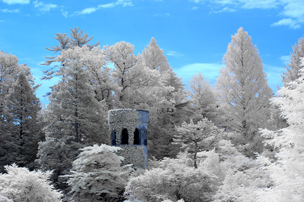 %_tempFileNameLongwood27June2020_5684IR%