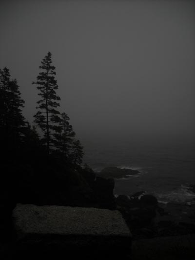 Foggy Coast