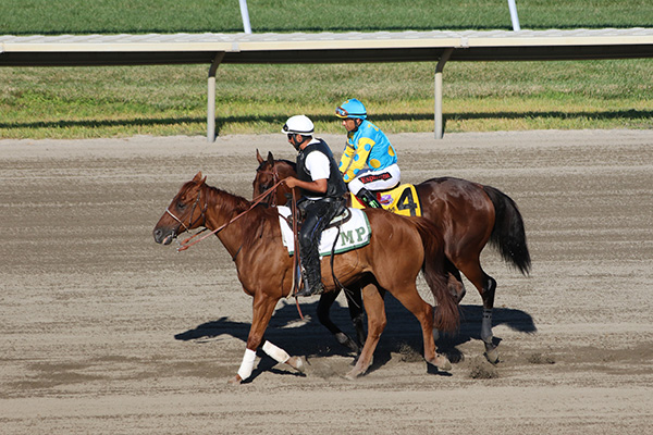 American Pharoah