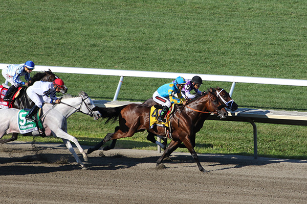 American Pharoah