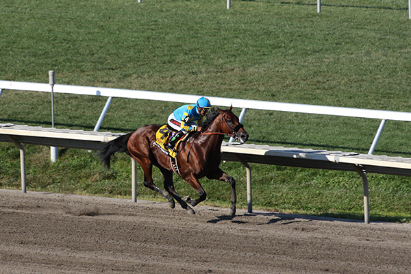 American Pharoah