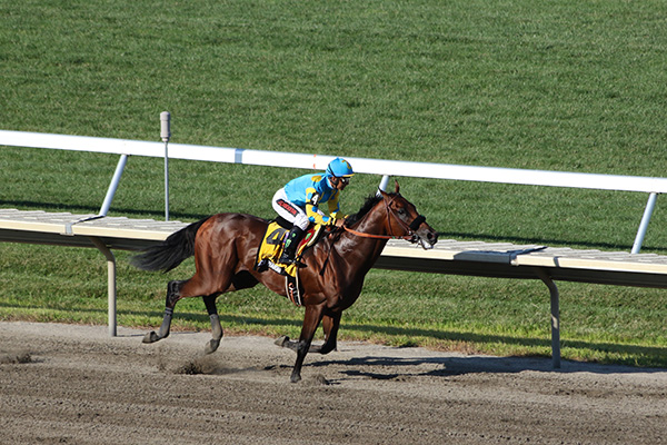 American Pharoah