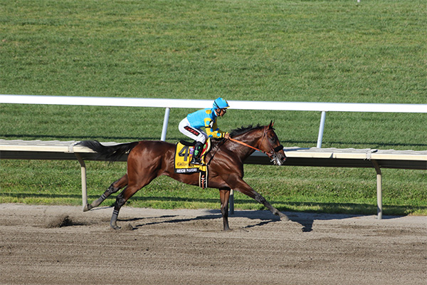 American Pharoah