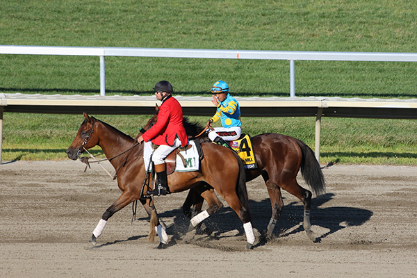 American Pharoah