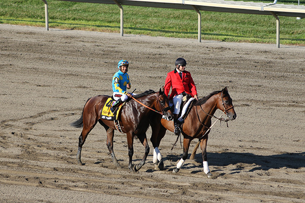 American Pharoah