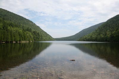 Bubble Pond