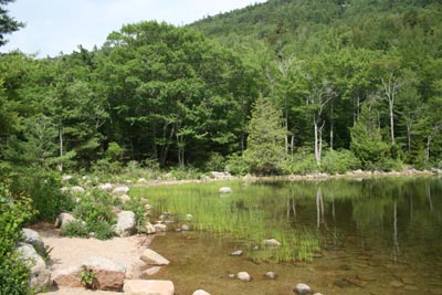 Bubble Pond