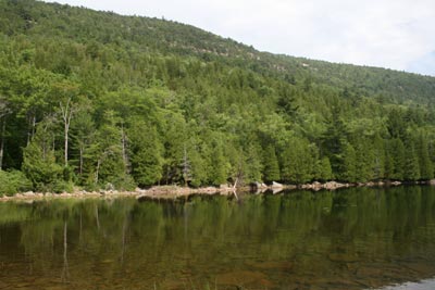 Bubble Pond