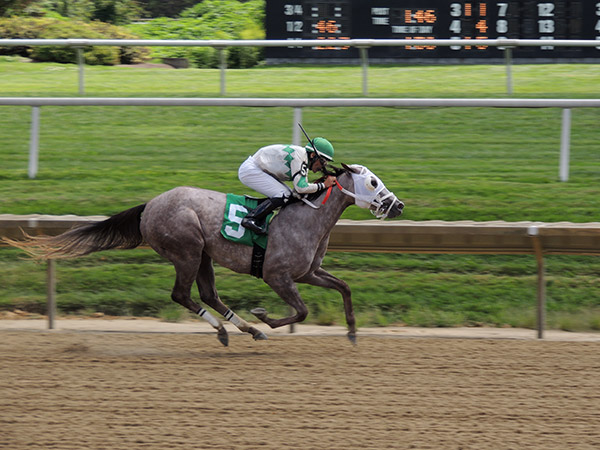 delawareparkAug2018_7123