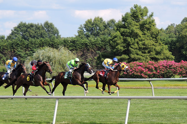 delawareparkAug2018_7176