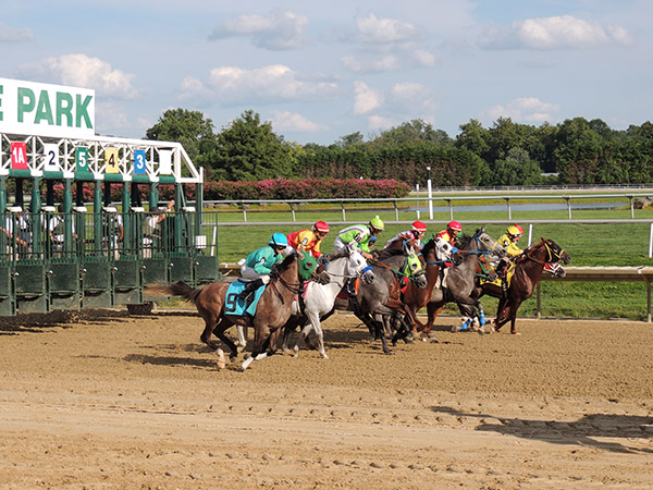 delawareparkAug2018_7236