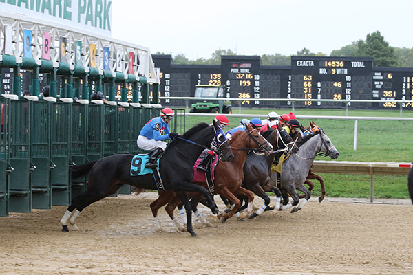 delaware casino park horse racing
