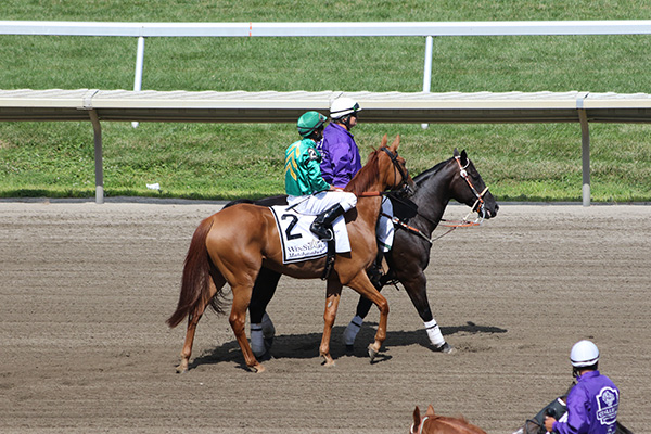 Race 9