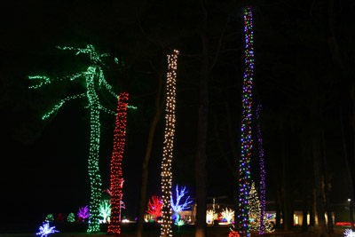 herrsdisplay2012_1015