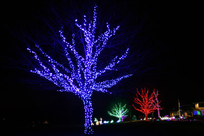 herrsdisplay2012_1027