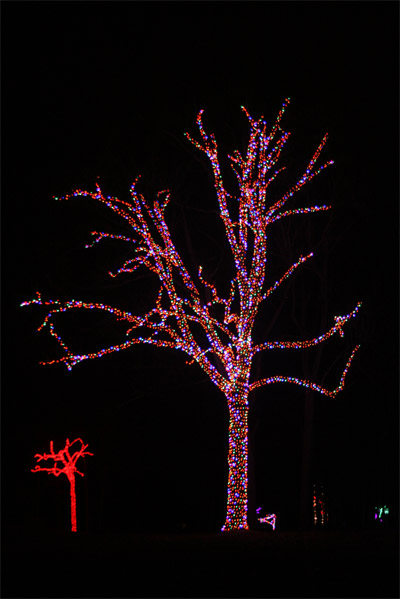herrsdisplay2012_1074