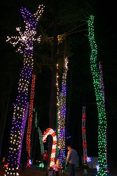 herrslights2013_6641