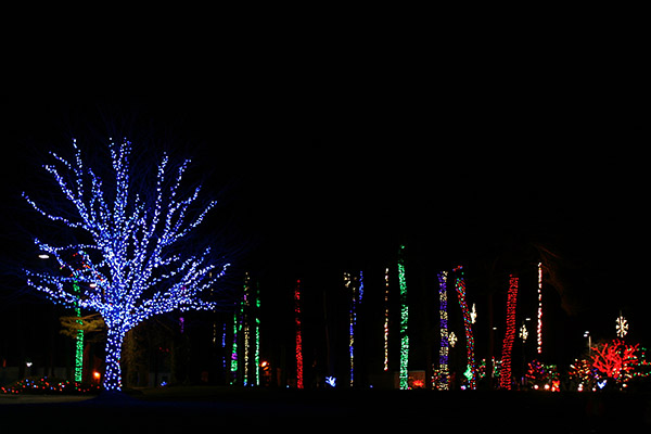 herrslights2013_6664