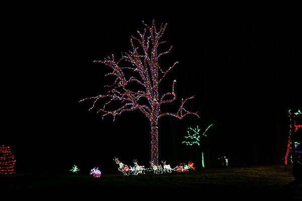herrslights2013_6669