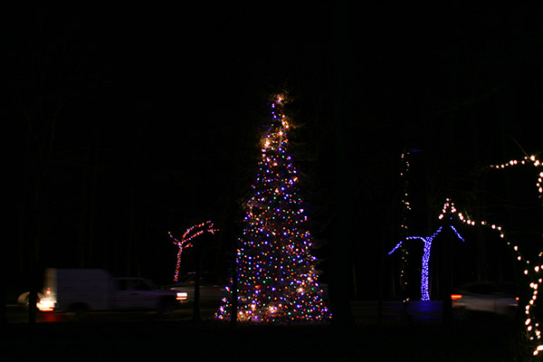 herrslights2013_6684