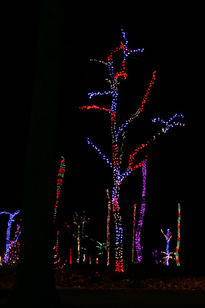 herrslights2013_6698