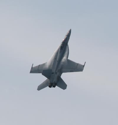 F-18 Hornet