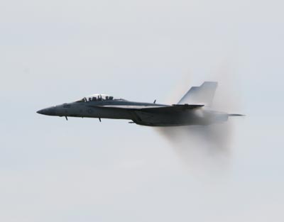 F-18 Hornet