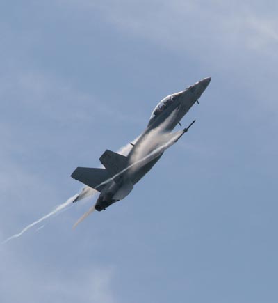 F-18 Hornet