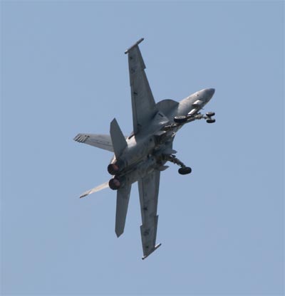 F-18F Hornet