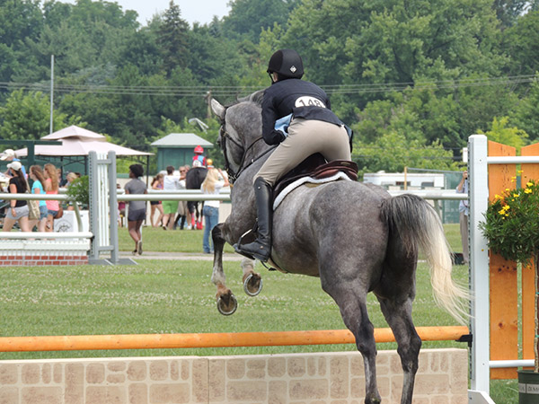 horseshowjuly2014_0340