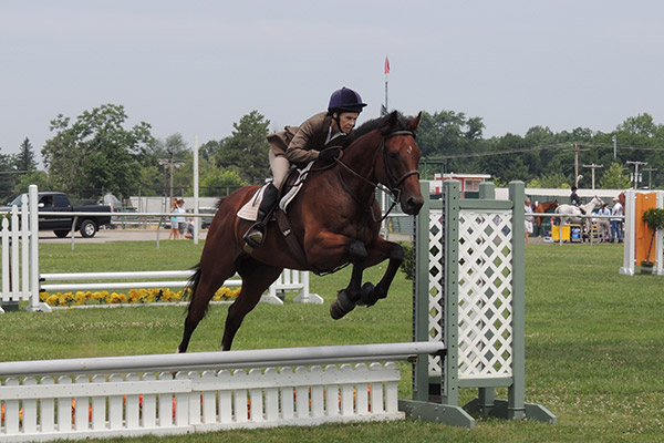 horseshowjuly2014_0376