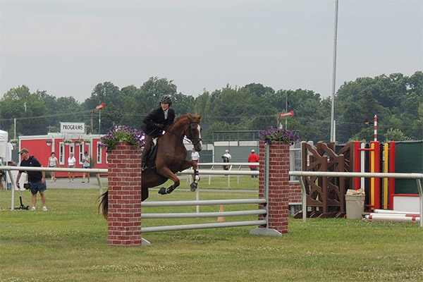 horseshowjuly2014_0491