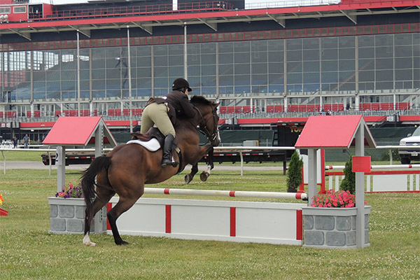 horseshowjuly2014_0523