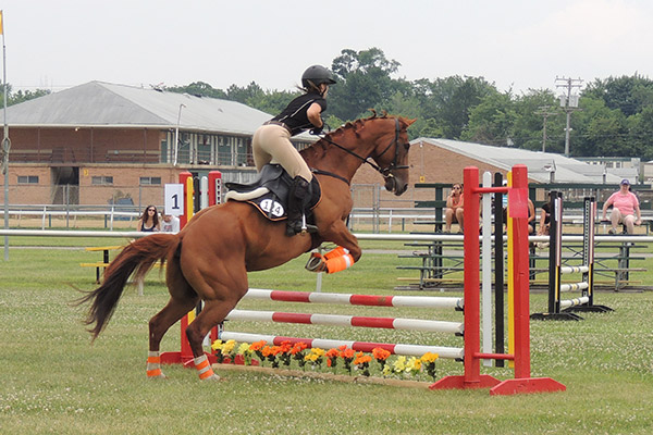 horseshowjuly2014_0594