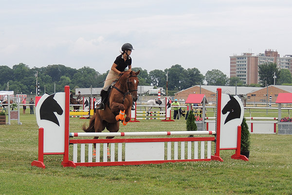 horseshowjuly2014_0604