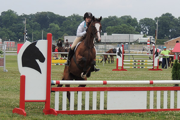 horseshowjuly2014_0628