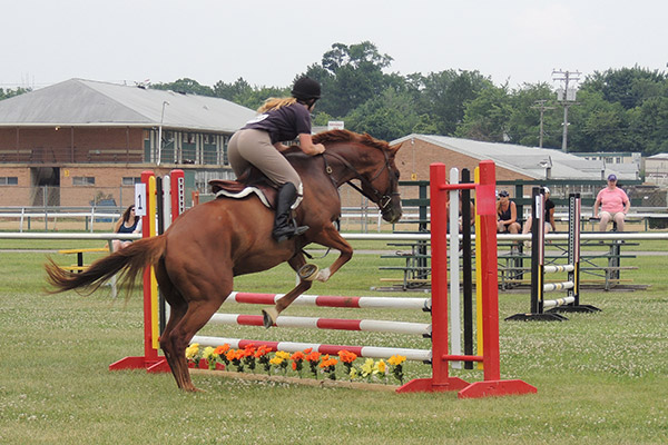 horseshowjuly2014_0630