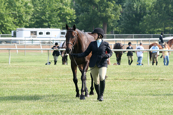 horseshowjuly2014_3214