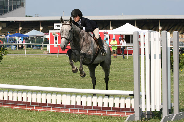 horseshowjuly2014_3250