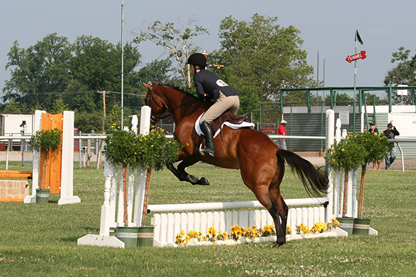 horseshowjuly2014_3258