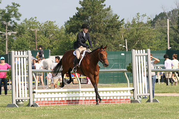 horseshowjuly2014_3259