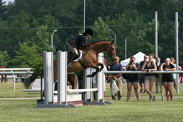 horseshowjuly2014_3266