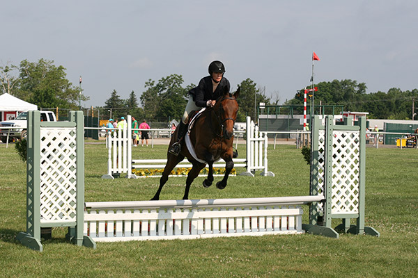 horseshowjuly2014_3283