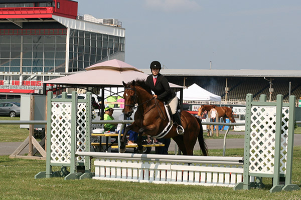 horseshowjuly2014_3308