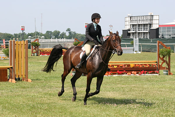 horseshowjuly2014_3393