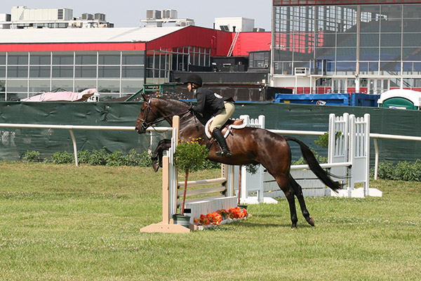 horseshowjuly2014_3394