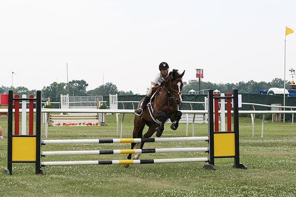 horseshowjuly2014_3476