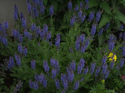 hotelflowers0828